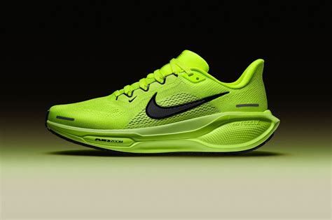 nike pegasus 2010|Nike Pegasus 41.